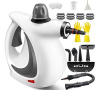 Cleaner Handheld Saker Steam