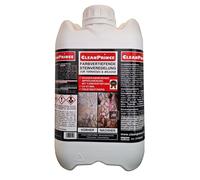 Cleanprince Color Enhancer Stone Finish for Terraces and Balconies 5 Liters