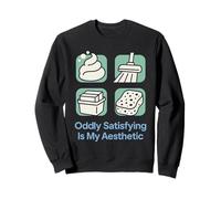 CleanTok Fan Oddly Satisfying ASMR Cleaning Aesthetic Gift Sweatshirt