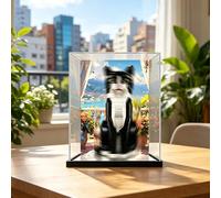Clear acrylic Display Case for lego City 21349 Tuxedo Cat Model, Perspex Acrylic Display Box Dustproof Showcase , UV protection , Custom Fit 21349 Set ,Stackable Protective Case (Background)