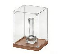 Clear Acrylic Display Case for Trophies Craft 4-24in, Model Showcases with Wooden Base, Stackable Thickened Cube Organizer Bins(B,20x60xH 20cm (8x24xH 8in))