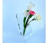 Clear Acrylic Flower Vase Rectangular，Acrylic Frame Vase ，Art Deco Vase，Decoration of Consoles and Various Desktops，House Warming Gifts (Clear)