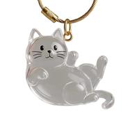 Clear Acrylic Pet Hair Keychain Collector Cartoon Cat Travel Friendly Key Cake and Gift Clear Cats Hair Storage Box