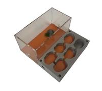 Clear Ant Castle Farm - Ant Nest & Queen Habitat Learning Kit, Educational Science Toy for Ant Colony Observation Ant Habitat