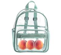 Clear Backpack Bookbag - Work Travel Backpack, Transparent School Bag | Large Capacity See Through a Backpack, Multiple Cute Cutlery Pockets, Stylish Design Adopting Handle, One, Light Green, Se