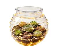 Clear Candy Dish - Spherical Storage Bowl | Home Candy Holder | Transparent PP Jar, Mini Planter Pot, Cándy Nut Snack Container, For Party Office Dorm Countertop, Weekday Serving