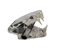 Clear Cats Teeth Model Pet Cats Teeth Anatomical Model Animals Tooth Jaw Veterinary Office Educational Tool for Study Clear Orals Anatomical Animal Teaching Supply