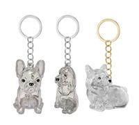 Clear Dog Furs Collector Box Keepsakes Keychain Charm For Pet Lover To Cherishing Memory Accessories Gift Clear Hair Memorial Storage Container