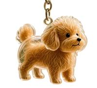 Clear Dog Hair Storage Box Keychain Memorial Jewelry