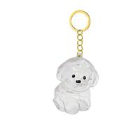 Clear Dog Hair Storage Box Keychain Memorial Jewelry With Secure Pet Loss Keepsakes For Emotional Supporting Gift Pet Hair Storage Keychain Charm