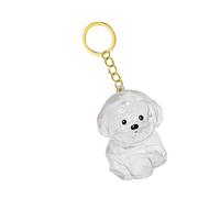Clear Dog Hair Storage Box Keychain Memorial Jewelry With Secure Pet Loss Keepsakes For Emotional Supporting Gift Dog Furs Memorial Jewelry Accessories