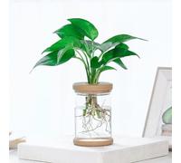 Clear Flower Pot For Small Potted Plants, Transparent PET Self-Watering With Water Storage, Breathable And Resistant Vase For Home Garden Bedroom Balcony Decor(B)