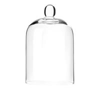 Clear Glass Cloche Display Dome, Transparent Bell Shaped Cover with Round Handle, 3.9 x 6.3 in for Cake, Dessert, Plant, Collectibles, Arts