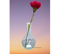 Clear Glass Flower Vases x 10 Ikea Viljestark Twist Pattern 17cm High