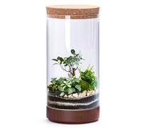 Clear Glass Houseplant Terrarium Planter, 6" W x 12" H, Cylindrical Terrarium with Wooden Base & Cork Lid | Versatile Tabletop Decoration for Home or Office or Hydroponics (Plant Not Included), 41-A-L