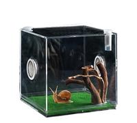 Clear Glass Reptile Container - Clear Reptile Cage, Small Pet Enclosure | Optimal Pet Wellness, Presence of Breathing Holes, Made from Acrylic Material, Durable, Wear-Resistant Acrylic, Space