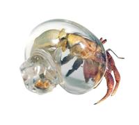 Clear Hermit Crab Shells,Hermit Crab Art House Ornaments | Large Clear Glass Conch Ornaments for Fish Spiral Tank Aquarium Crustaceans Terrarium Reptiles Marine