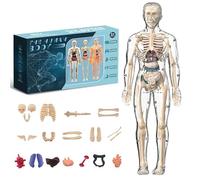 Clear Human Body Structure Model - 26 Piece Transparent 3D Anatomy Kit with Removable Organs & Bones, DIY Torso Model, Ideal STEM Learning for Students & Teachers