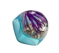 Clear Keycaps Featuring Underwater And Sea Creature Pattern For Mechanical Keyboards Switches Decoration Clear Resin Keycaps