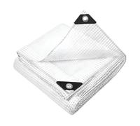Clear Leno Tarpaulin 4 x 4 m Waterproof Heavy Duty 100 GSM - Reinforced Transparent Tarp Sheet with Mesh Support, Rubber Strengthened Corners - UV Resistant Cover for Garden, Greenhouse, Groundsheet