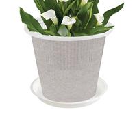 Clear Plant Planter,home Orchid Planter,Containers With Holes And Saucer,For Flower Rose Orchids Pansies Cacti Succulents