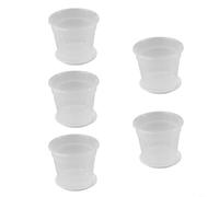 Clear Plant Pot Set Five Containers Designed to Promote Optimal Root Development