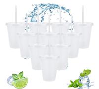 Clear Plastic Cups with Lids and Straws, 10Pcs Reusable & BPA Free Iced Water Cups, Cold Drinking Tumblers, Custom Cup for Coffee Smoothie Juices, Party Cup Bulk for Adult Kid Women (17oz/500ml)