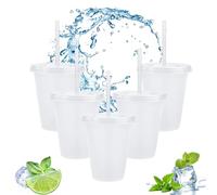 Clear Plastic Cups with Lids and Straws, 5Pcs Reusable & BPA Free Iced Water Cups, Cold Drinking Tumblers, Custom Cup for Coffee Smoothie Juices, Party Cup Bulk for Adult Kid Women (17oz/500ml)