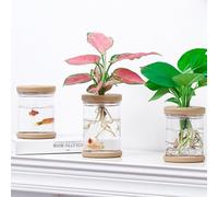 Clear Plastic Plant Pot Self Watering Transparent Flower Container PET Nursery Pot For Fish Breeding Bowl(A)