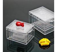Clear Plastic Storage Box Rectangular Specimen Display Case Transparent Jewelry Organizer Container Desktop for Collection Box Small Parts Sorting (H)