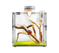 Clear Reptile Cage, Acrylic Terrarium for Jumping Spider Growth, 360 Degree, Transparent Small Sample Carrier and Provides an Easy Way for Lizards, Beetles, Turtles, Snails