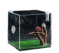 Clear Reptile Cage - Jumping Spider Growth Enclosure, Lightweight Small Animal Breeding Box with Ventilated Design, Terrarium Habitat, Reptile and Habitat for Home or Classroom