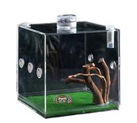 Clear Reptile Cage, Jumping Spider Growth Enclosure, Reptile Terrarium, Clear Acrylic Design Versatile Use Easy Access Compact Size for Snails, Geckos, Mantises, Lizards, Spider