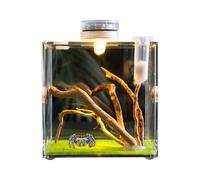 Clear Reptile Cage, Jumping Spider Growth, Enclosure Small Animal for Smaller Pets, Lightweight Design with Compact, Breeding Box for Turtles, Beetles, Snails, and Lizards, 2.56x2.56x2.56 Inches