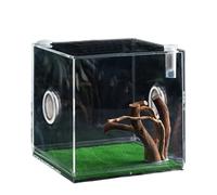 Clear Reptile Cage - Premium Jumping Spider Fence with Ventilation | Lightweight Breeding Box for Small Animals: Turtles, Beetles, Slugs & Lizards, Escape Proof Terrarium with Coper