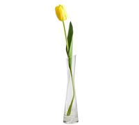 Clear Small Glass Vase Tapered Thin Waist Heavy Base Vases Slant-cut Bottle Mouth Single Stem Vase for Home Office Coffee Shop Decoration