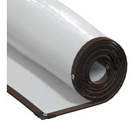 Clear Tarpaulin with Eyelets 3x10 m Polyethylene