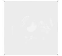 Clear Tarpaulin with Eyelets Clear Tarp Waterproof Tarpaulin Sheet PVC vidaXL