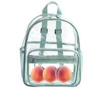Clear Travel Backpack - Spacious Clear Book Bag, Large Capacity Transparent Backpack | Transparent Kindergarten Package, Durable Clear Bag for Kids, Teens, ADU, Light Green, Fare riferimento alla