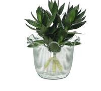 Clear Vase - Mini Pet Crystal Flowerpot, 8x10x13cm Transparent Hydroponic Planter, Durable Non Breakable Design | Stylish Floral Display for Dried Flowers Wedding Centerpiece Table Balcony