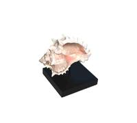 Clearco Oil lamp holder, mineral artifact spider mount stand, and sea shell display for ancient oil lamps, minerals, sea shells and other artifacts, displays, shows and exhibits (small)