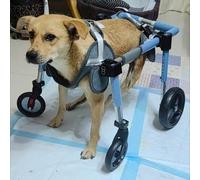 Clearlin 4-Wheel Dog Wheelchair for Small, Medium & Large Dogs, Mobility Aid for Back Legs, Support Brace for Rear Leg Strength & Activity(L)