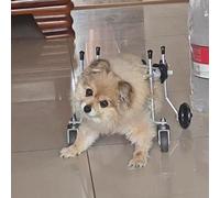 Clearlin Adjustable 4 Wheel Dog Wheelchair - Full Support Mobility Aid for Disabled Dogs, Hip Support & Exercise Wheels - Enhance Pet Mobility & Comfort(M)