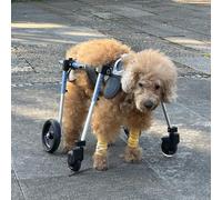 Clearlin Adjustable Disabled Dog Wheelchair for Large Breeds, Portable Full Support Pet Treadmill Cart, 4-Wheel Mobility Aid for Elderly Dogs, Fits 11-132lbs(Size XS)