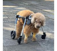 Clearlin Adjustable Disabled Dog Wheelchair for Large Breeds, Portable Full Support Pet Treadmill Cart, 4-Wheel Mobility Aid for Elderly Dogs, Fits 11-132lbs(Size M)