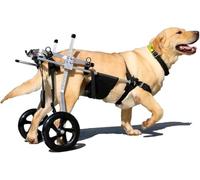 Clearlin Dog Wheelchair for Back Legs - Mobility Cart for Dogs, Hind Leg Support, Pet Rehabilitation Walker with Wheels, Adjustable Size M for Improved Canine Mobility(Size M)