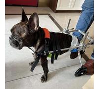 Clearlin Portable Dog Wheelchair for Back Legs, Adjustable Cat Mobility Aid, Pet Walking Support for Disabled Dogs & Cats, Easy to Move, Multi-Colored(Multicolor,Size XXS)