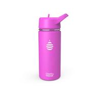 Clearly Filtered Water Bottle | Removes 220+ Contaminants, Double-Wall Insulated Stainless Steel, BPA/BPS Free, Phthalate Free, Filters Flouride Lead Chlorine (16oz, Purple Dino)