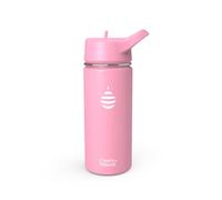 Clearly Filtered Water Bottle | Removes 220+ Contaminants, Double-Wall Insulated Stainless Steel, BPA/BPS Free, Phthalate Free, Filters Flouride Lead Chlorine (16oz, Bubble Gum)