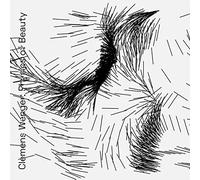 Clemens Wenger - Physics Of Beauty [VINYL]